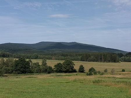 Smrčina od Zvonkové