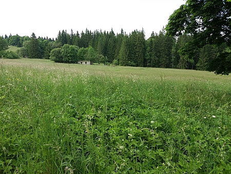 Dva pohledy na zaniklou rodnou Zlatou s ruinami domů dnes (2021)