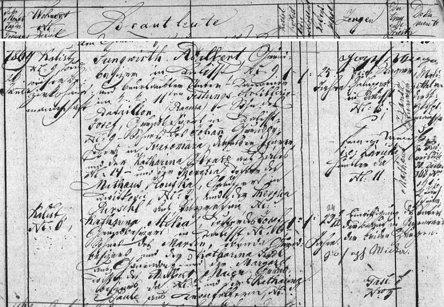 Německy psaný záznam o svatbě jeho rodičů 26. ledna roku 1869 v oddací matrice farní obce Dubné (Duben) - ženich Adalbert (Vojtěch) Jungwirth, majitel usedlosti čp. 9 v Kališti, tč. podkanonýr (Unter-Kanonier) c.k. pevnostní artilerie v Dubrovníku (Ragusa), byl synem Josefa Jungwirtha, majitele usedlosti v Kališti čp. 9 (jeho otec Johann Jungwirth byl majitelem usedlosti ve Svaté Maří ve stejnojmenné farnosti, matka Katharina (Kateřina) Hrašeová pocházela ze Zálesí (Záles) čp. 14) a Theresie, dcery Mathause (Matouše) Houšky, chalupníka v Kvítkovicích čp. 3 a Theresie, roz. Purschlové z Boršova (Payreschau), nevěsta Katharina byla dcerou majitele usedlosti v Kališti čp. 6 Josefa Míky (jeho otec Martin Míka byl majitelem téže usedlosti, matka Katharina Judlová pocházele z Mokrého /Gauendorf/ čp. 5) a Margaret (Markéty), dcery majitele usedlosti v Kališti čp. 1 Adalberta Maiera a Kathariny, roz. Pauleové z Dasného (Kronfellern)