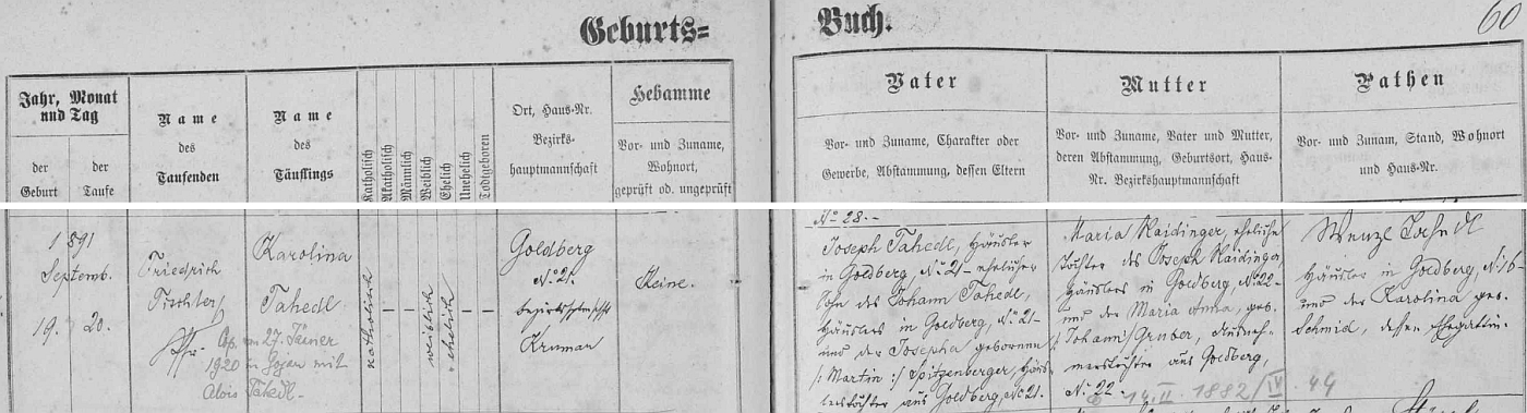 Záznam ondřejovské křestní matriky o narození její matky Karoliny 19. září roku 1891 ve Zlaté čp. 21 tamnímu chalupníku Josephu Tahedlovi (synu Johanna Tahedla, chalupníka z téhož stavení a Josephy, dceři Martina Spitzenbergera rovněž odtud) a jeho ženě Marii, dceři Josepha Raidingera, chalupníka ze Zlaté čp. 22, a Marie Anny, dcery Johanna Grubera, výminkáře ve Zlaté na témže stavení čp. 22 - pozdější přípis stejně jako u křestního záznamu Annina otce Aloise Tahedla nás zpravuje o svatbě Anniných rodičů v Kájově dne 27. ledna roku 1920