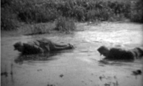 V jeho a mé rodné Soběslavi docházelo v květnu 1945 v lokalitě Soliny k ohavnému týrání zajatých vojáků wehrmachtu a k jejich následnému utopení v bahně, čemuž přihlížel početný dav včetně dětí (jedna z žen podle vyprávění pamětníka /viz Soběslavská hláska, květen 2010, s. 11/ na vojáky šlapala, část incidentu byla zachycena amatérským filmařem, viz i Anton Skočdopole)