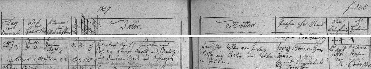Německy psaný záznam o jeho narození v Soběslavi 25. června roku 1807 v rodině krupaře Adalberta Karlika (jeho otec Wenzl Karlik byl ze Stádlce, matka Barbara z Ústrašic) a jeho ženy Františky, psané tu kupodivu s českou podobou svého křestního jména, rodné příjmení však má být Hradil, nikoli "Radil", "aus Srdilin" znamená pak ze Srlína (dnes okres Písek), je doplněn pozdějším českým přípisem "převor premonstr. kláštera v Teplé, spisovatel"