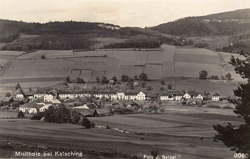 Ves Borová dosud celá i s okolními polnostmi, nahoře ve stráních Borovští Uhlíři, na pohlednici Josefa Seidela