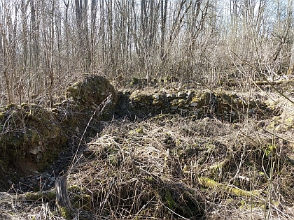 Základy jednoho z domů a někdejší cesta ve svahu Kronbergu