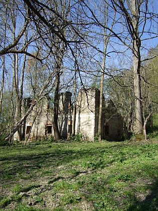 Poslední zbytky někdejší vsi Hora u Rožmitálu na Šumavě