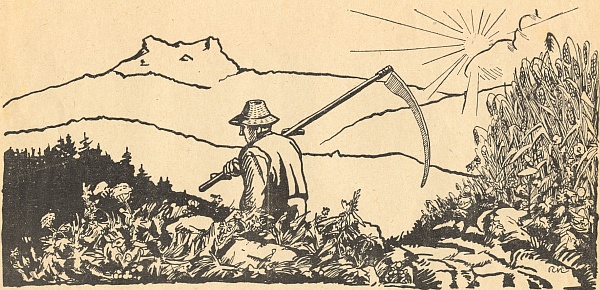 Přílohou k 6. číslu 1. ročníku časopisu Der Waldbrunnen (tj. Lesní pramen), který v Horní Plané vydávalo sdružení Heimdallbund für den Böhmerwald a který řídil Adolf Webinger za stálé spolupráce Karla Franze Leppy a Eberharda Königa, byla jeho kresba s názvem "Žencovo jitro"