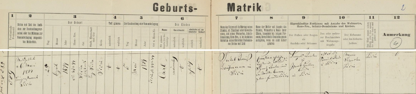 Podle tohoto záznamu jičínské židovské matriky se tu narodil v domě čp. 43+44 dne 28. dubna roku 1874, dne 5. května dostal pak po obřízce jméno Carl - novorozencův otec Jakob Kraus je tu uveden jen jako obchodník v Jičíně bez dat svých rodičů, chlapcova matka Amalia byla podle záznamu dcerou lékaře Ignatze Kantora a jeho ženy Anny, roz. Friedové z Jičína, jako svědci při obřízce, kterou provedl jičínský lékař MUDr. Samuel Klein, jsou psáni Leopold Kantor a Isaak Heller, oba rovněž z Jičína