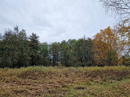 Dnešní přírodní rezervace Rašeliniště Borková u zaniklého Kyselova