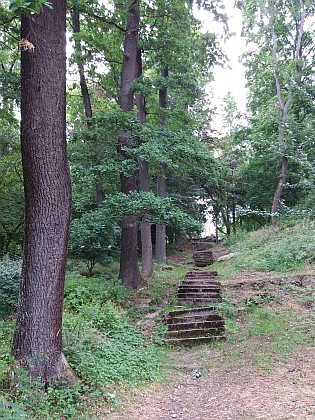 Schody ke Stifterovu pomníku na Dobrovodském vrchu nad Horní Planou