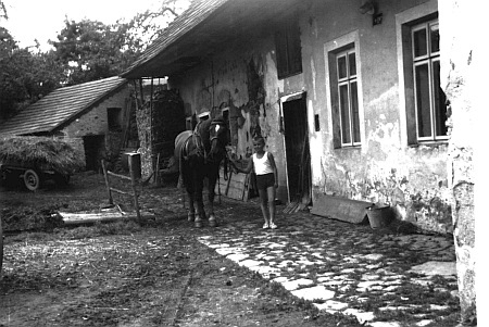 O Malinově statku ve Dvorech něco od věrného čtenáře těchto webových stran