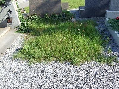 Prázdné místo po jeho zrušeném hrobě v Bavorské Železné Rudě na snímku z léta 2009
