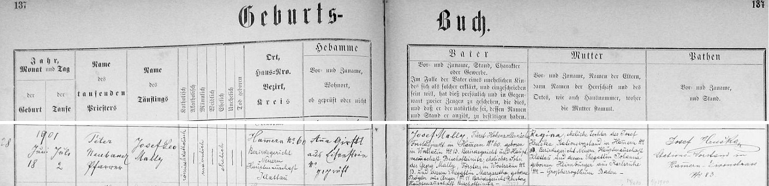 Narodil se podle tohoto záznamu křestní matriky farní obce Hamry dne 18. července roku 1901 jako Josef Leo Mally knížecímu hohenzollernskému
lesnímu adjunktovi v Hamrech čp. 60 Josefu Mallymu, narozenému v Ostračíně (Wostračín) čp. 13, synovi tamního lesního Georga Mallyho a Margarethy, roz. Pröglerové z Úporu (Anger) čp. 11, a jeho ženě Regině, dceři přednosty železniční stanice v Hamrech čp. 83 Josefa Hrušky, který je zde i podepsán jako kmotr dítěte, a Johanny, roz. Heimburgerové z Karlsruhe ve velkovévodství Bádensko (Baden)