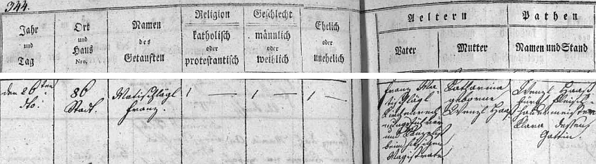 Českobudějovická matrika uvádí ho při narození 26. dubna roku 1810 po otci, který byl kancelistou při zdejším magistrátě, příjmením Matischlägl