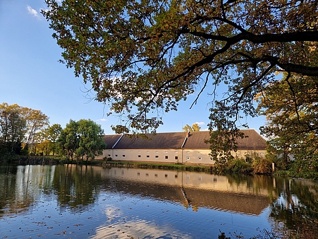 Dvůr Suchá mezi Břehovem a Pištínem u silnice na Netolice měl podobný osud: byl v roce 1619 vypálen, Marradas jej získal roku 1634 a nechal nově vystavět - současnou podobu má po schwarzenberské přestavbě z roku 1742