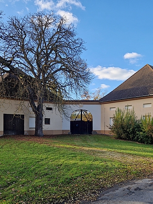 Dvůr Suchá mezi Břehovem a Pištínem u silnice na Netolice měl podobný osud: byl v roce 1619 vypálen, Marradas jej získal roku 1634 a nechal nově vystavět - současnou podobu má po schwarzenberské přestavbě z roku 1742