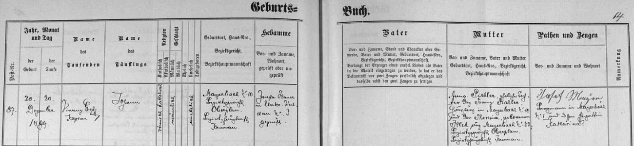 Podle matriky farní obce Dolní Vltavice narodil se 20. prosince roku 1899 jako nemanželské dítě Anny Pichlerové, dcery chalupníka Franze Pichlera z Dolní Borkové a jeho ženy Theresie, roz. Illekové z Dolní Borkové čp. 29 - svědky jsou psáni horník Josef Mayer a jeho žena Katharina, kteří zřejmě dali novorozenci příjmení