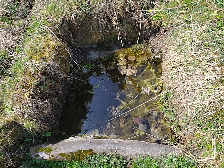 Studánka poblíž někdejšího stavení čp. 19 ve Starém Špičáku a ruiny místní kapličky