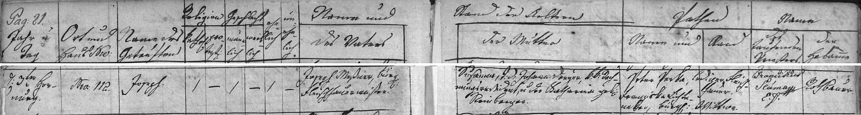 Podle záznamu v prachatické matrice narodil se v domě čp. 112 dne 3.února 1822 mistru řeznickému Josefu Meßnerovi a jeho ženě Susanně