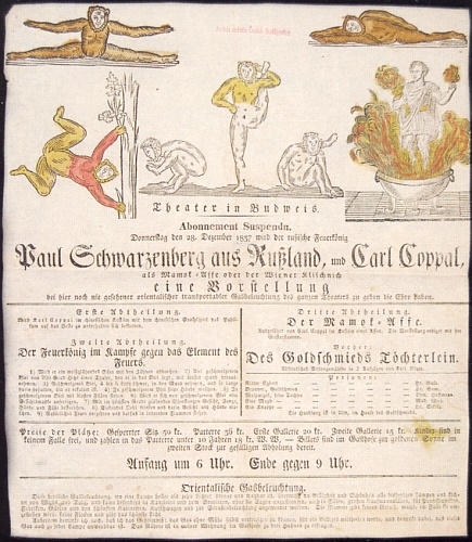 Ručně kolorovaný plakát budějovického divadla, zvoucí v listopadu roku 1837 na představení "ruského krále ohně" Paula Schwarzenberga a Carla Coppala (Karla Kopala?) coby opice, je dnes součástí sbírek českobudějovického okresního archivu