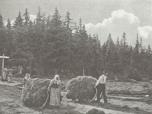 Senoseč na Trojmezí na vzácné pohlednici, která tvoří ke knize Heilige Steine im Böhmerwald působivou frontispis