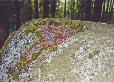 Posvátný kámen u Blanska na úpatí hory Hradiště