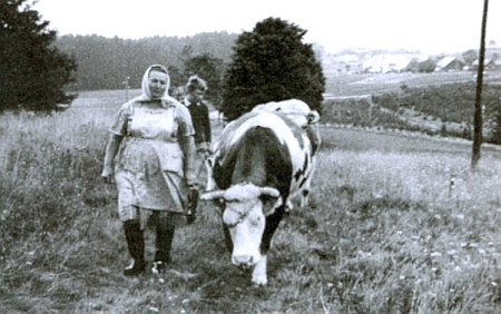 Maminka na polní cestě ve Stadlbergu, jak ji zachytil snímek někdy z roku 1966 s pozadím Pohoří na Šumavě, plného ještě dosud nezbořených stavení