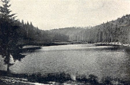 Řasnice (Travnatá Vltava) u jeho rodného Kunžvartu a nedaleké Žďárecké jezírko na snímcích zapomenutého dnes fotografa Dr. Preisslera