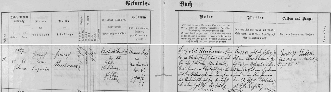 Narodil se podle záznamu kooperátora Jindřicha Loma v křestní matrice farní obce Kunžvart (Kuschwarda, dnes Strážný) dne 20. února roku 1897 (hned následujícího 21. února byl v kunžvartském farním kostele Nejsvětější Trojice také pokřtěn) v Horních Světlých Horách čp. 55 - novorozencův otec Leopold Neubauer byl synem chalupníka Franze Neubauera, který se svou ženou Sophií, roz. Jungbauerovou z Dolních Světlých Hor čp. 8, hospodařil předtím na témže rodném stavení chlapcově čp. 55 v Horních Světlých Horách - novorozencova matka Anna byla pak dcerou Johanna Kerschbauma, vlastníka usedlosti čp. 5 ve Žlíbkách (Röhrenberg), a jeho manželky Johanny, roz. Binderové z Kunžvartu čp. 52