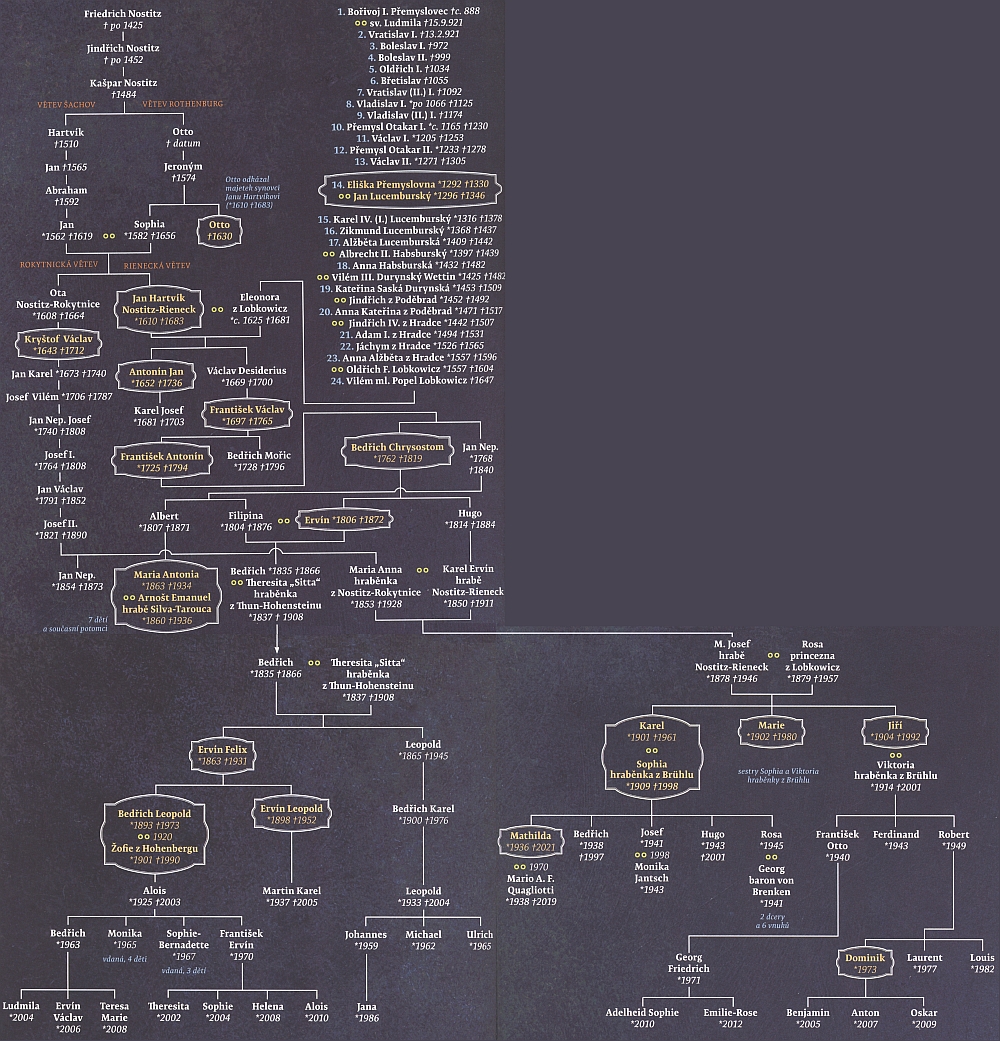 Rodokmen, z něhož vysvítá příbuznost Nostitzů s Přemyslovci a kde figuruje i Leopold