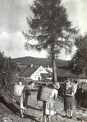 Nedocenitelné jsou jeho fotografie lidí na Šumavě, jako třeba žen s nůšemi u Skelné