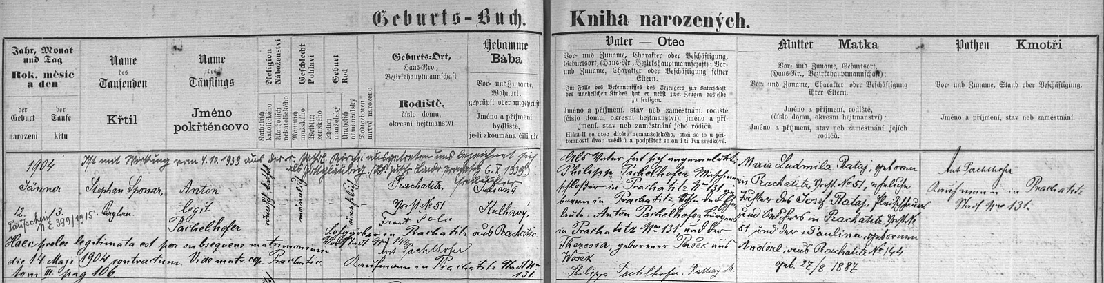 Narodil se podle záznamu v prachatické matrice 12. ledna roku 1904 v domě čp. 51 matce Marii Ludmile Ratajové rodem z téhož domu (její otec Josef Rataj tam měl řeznictví, matka Paulina, roz. Anderlová, byla rovněž z Prachatic), jako otec se ohlásil (angemeldet) Philipp Pachelhofer, syn Antona Pachelhofera a jeho ženy Theresie, roz. Paškové z Oseku - od října 1939 vystoupil pětatřicetiletý tehdy Pachelhofer z katolické církve (dále je veden jen jako "gottgläubig", tj. "věřící v Boha")