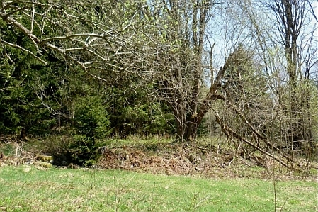 Tady stával rodný dům čp. 24 v Silnici