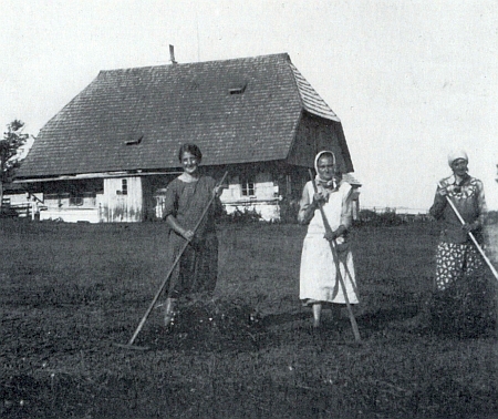 Skupina žen při shrabování sena před jeho rodným domem na Bučině