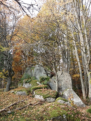 Skalní útvary nad zaniklou osadou Kamenná Hlava