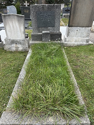 ... které ale v případě Antonie usvědčují z omylu fotografie hromu na vídeňském hřbitově Sievering, jednalo se o jinou Antonii Pifflovou