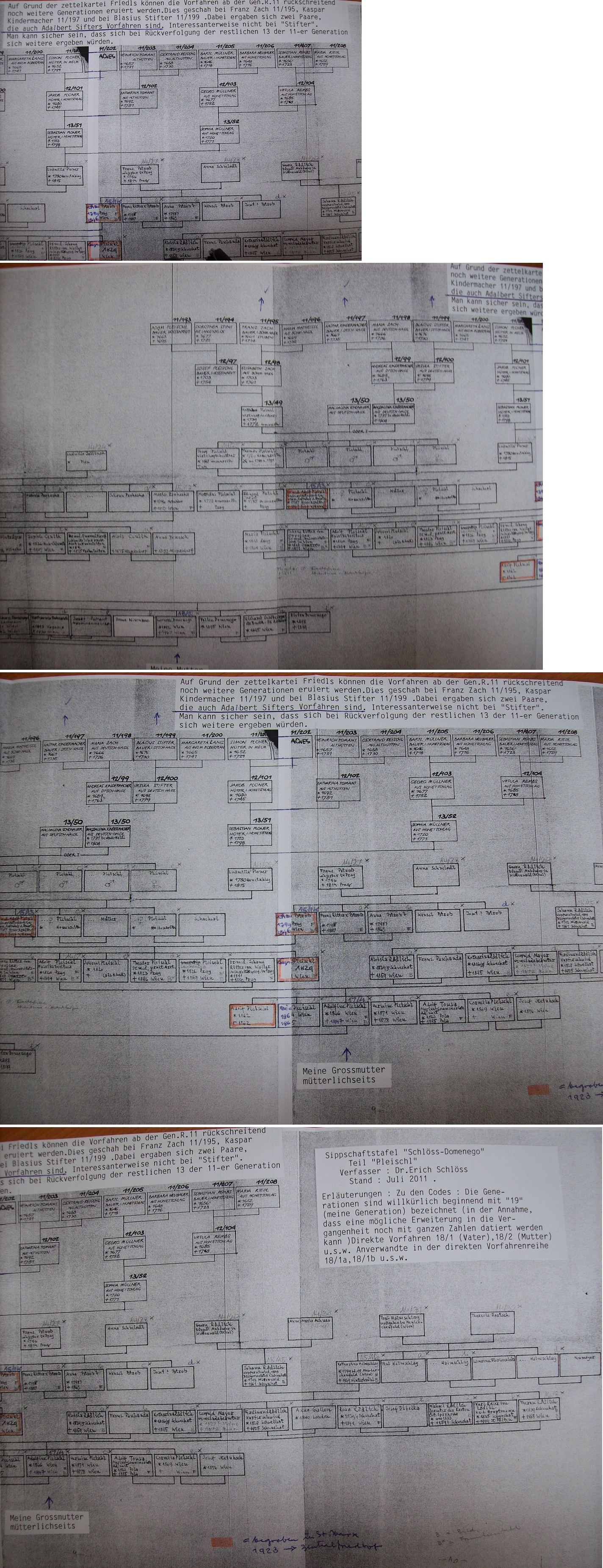 "Pleischlova" část rodokmenu "Schlöss-Domenego", jak ji zachycují vzácné snímky Dr. Ericha Schlösse z Vídně