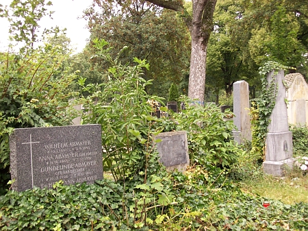 ... a snímky Pleischlova hrobu na vídeňském Centrálním hřbitově s ostatky, přenesenými sem ze St. Marxer Friedhof (skupina 101, řada 19, hrob č. 27)