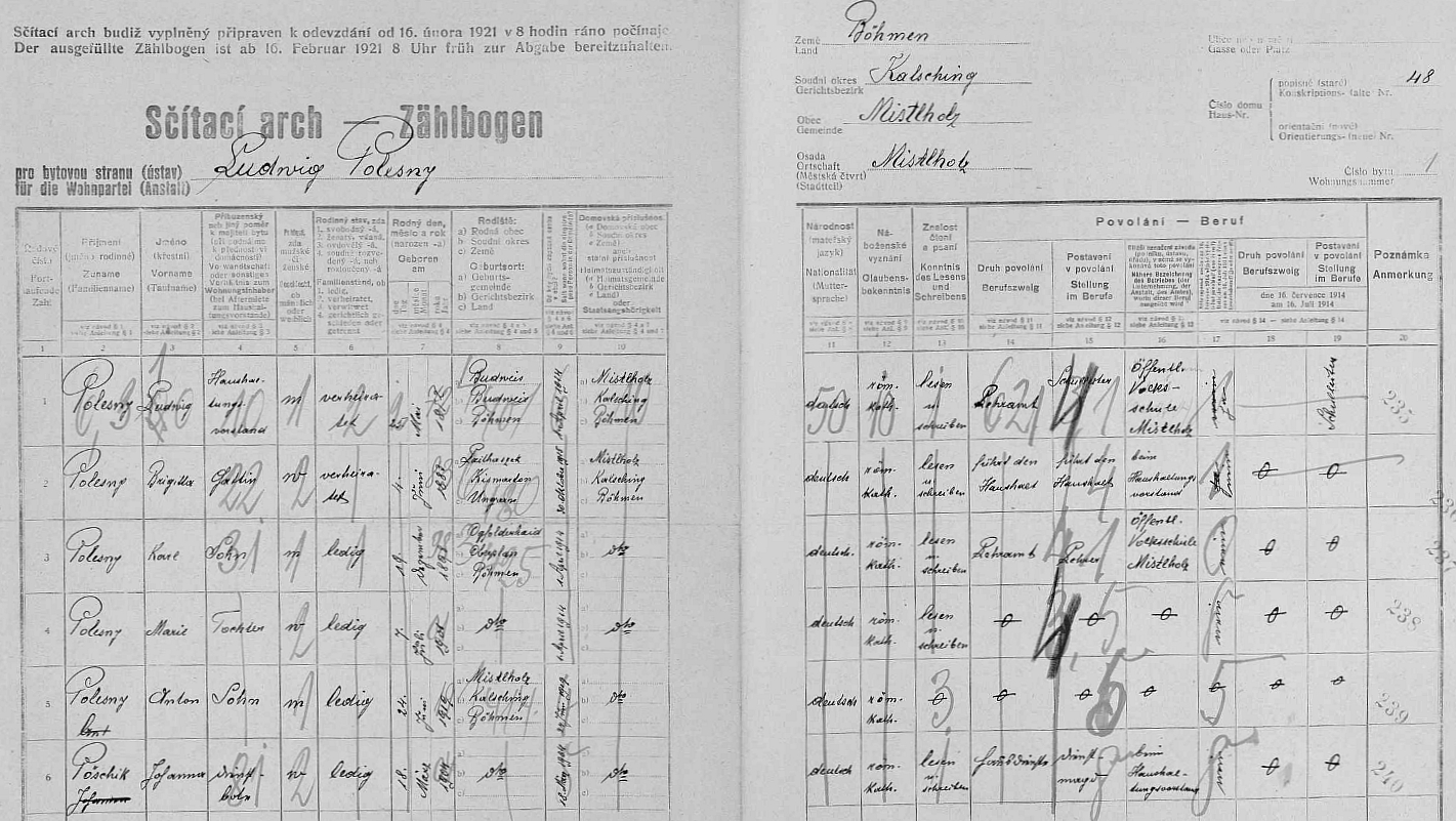 Arch sčítání lidu z roku 1921 pro dům čp. 48 (škola) v Borové