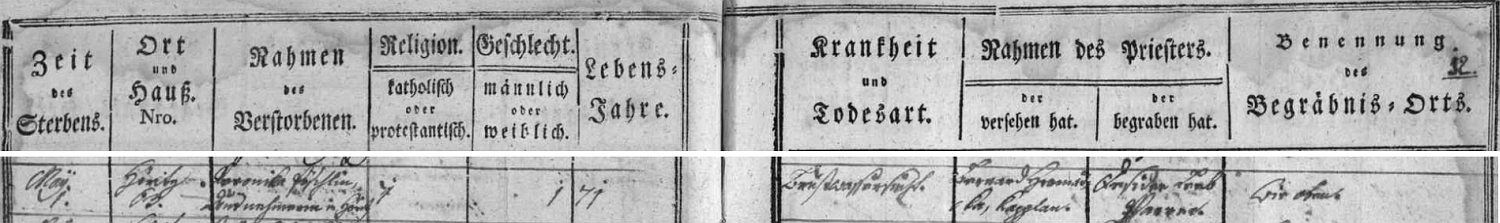 Záznam hořické úmrtní matriky o skonu jeho matky Veroniky 1. máje roku 1804 v čp. 63 - bylo jí 71 let a hořický hřbitov je na stejné straně matriky trochu výše označen jako "Kirchhof beim Spital auser den Markt", tedy "krchov při špitále vně městečka"