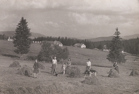 Höhal, zmiňovaný také v jejím textu, zde na poválečném snímku z roku 1947, osada zanikla pod českým názvem Horečky