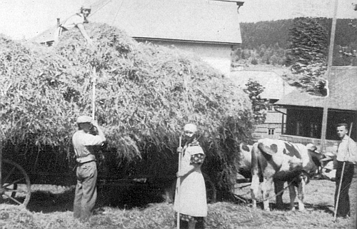 Pan farář vpravo u potahu pomáhá v Bockhütte (část dnešních Nových Hutí) "o senách" ("bei der Heuernte")