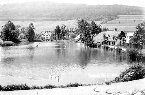 Idylická pohlednice firmy Seidel z Dešenic pochází asi z roku 1937