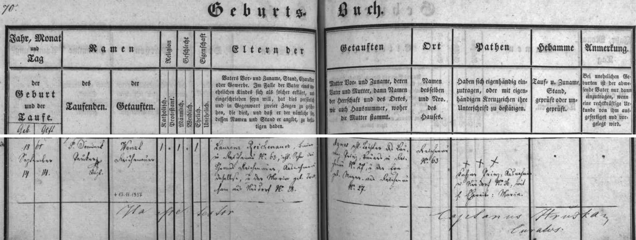 Záznam o narození jeho otce Wenzla Reichenauera dne 14. září 1861 v Rychnově u Nových Hradů čp. 63, kde hospodařil jeho otce Laurenz Reichenauer se svou ženou Agnes, roz. Prinzovou z rychnovského stavení čp. 27, a kde na výměnku bydlili i děd Thomas Reichenauer a jeho žena Maria, roz. Trillsamová z Kondrače (Neudorf) čp. 28 - pozdější přípis uvádí datum skonu Wenzla Reichenauera dne 13. listopadu roku 1937