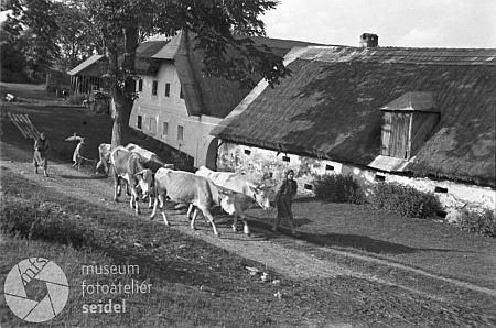 Tento snímek z Tisovky vznikl v roce 1946