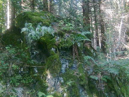 Dnes je skalka na Pestřickém vrchu dávno bez Roseggerova portrétu a obklopená lesem (za její nalezení v nepřehledném terénu děkujeme Martinu Peškovi z Horní Plané)