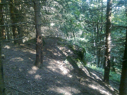 Dnes je skalka na Pestřickém vrchu dávno bez Roseggerova portrétu a obklopená lesem (za její nalezení v nepřehledném terénu děkujeme Martinu Peškovi z Horní Plané)