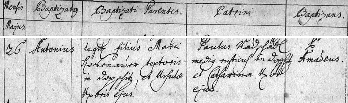 Jeho praděd Anton (otec Josefa Rosenauera) se podle tohoto záznamu strýčické křestní matriky narodil v Dobčicích 26. května roku 1705