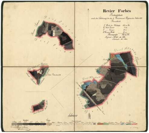 Porostní mapa revíru Forbes (Borovany), kterou zakreslil v roce 1875
(klikněte na náhled pro digitalizovanou mapu)