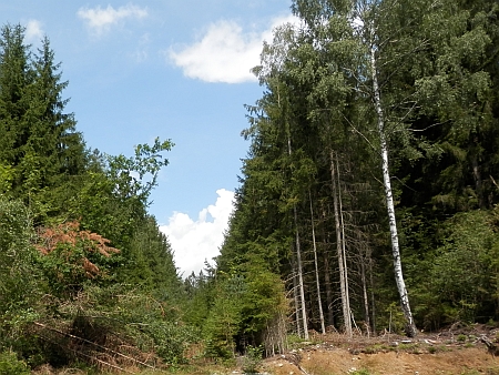 Tudy vedla u Dolní Hraničné "železná opona"