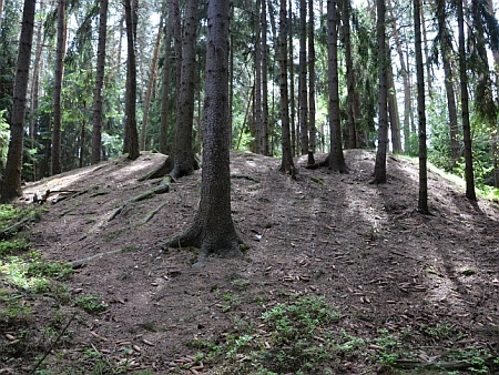 V lese mezi Milavčem, odkud pocházel jeho otec, a Chrastavicemi skrývá nenápadný vršek jednu z mnoha pravěkých mohyl